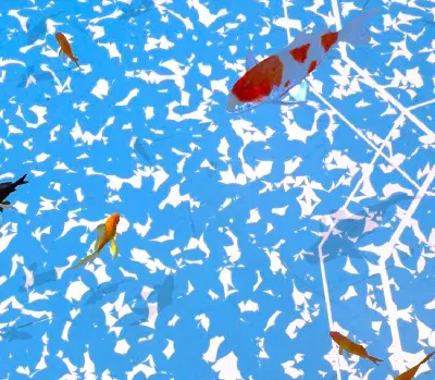 バーチャル金魚すくい